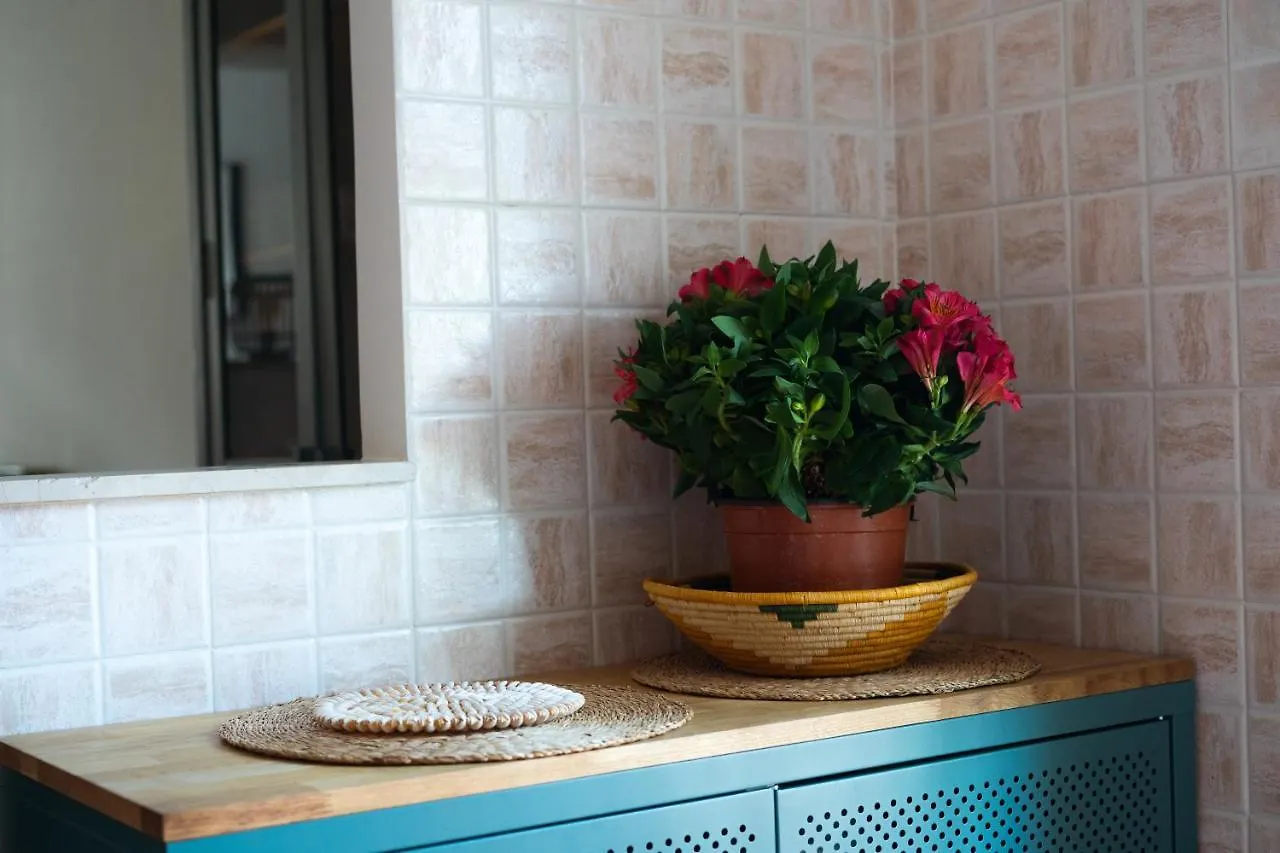 Attico Via Capo Soprano Apartment Lido di Ostia Italy