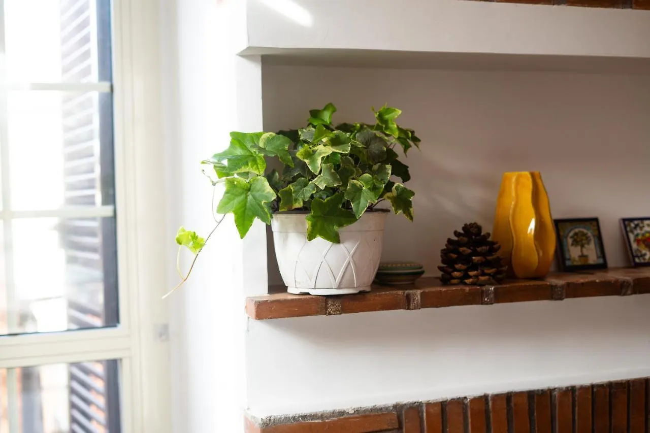 Attico Via Capo Soprano Apartment Lido di Ostia